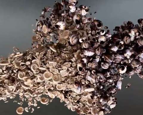 三维动画制作多少钱一秒？